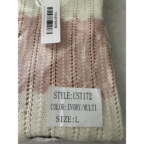 NEW POL Boxy Oversize Sweater LARGE Ivory Blue Pink Stripes V-neck Drop Shoulder - Picture 13 of 13